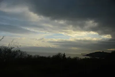 DSC_1344 (Large).JPG